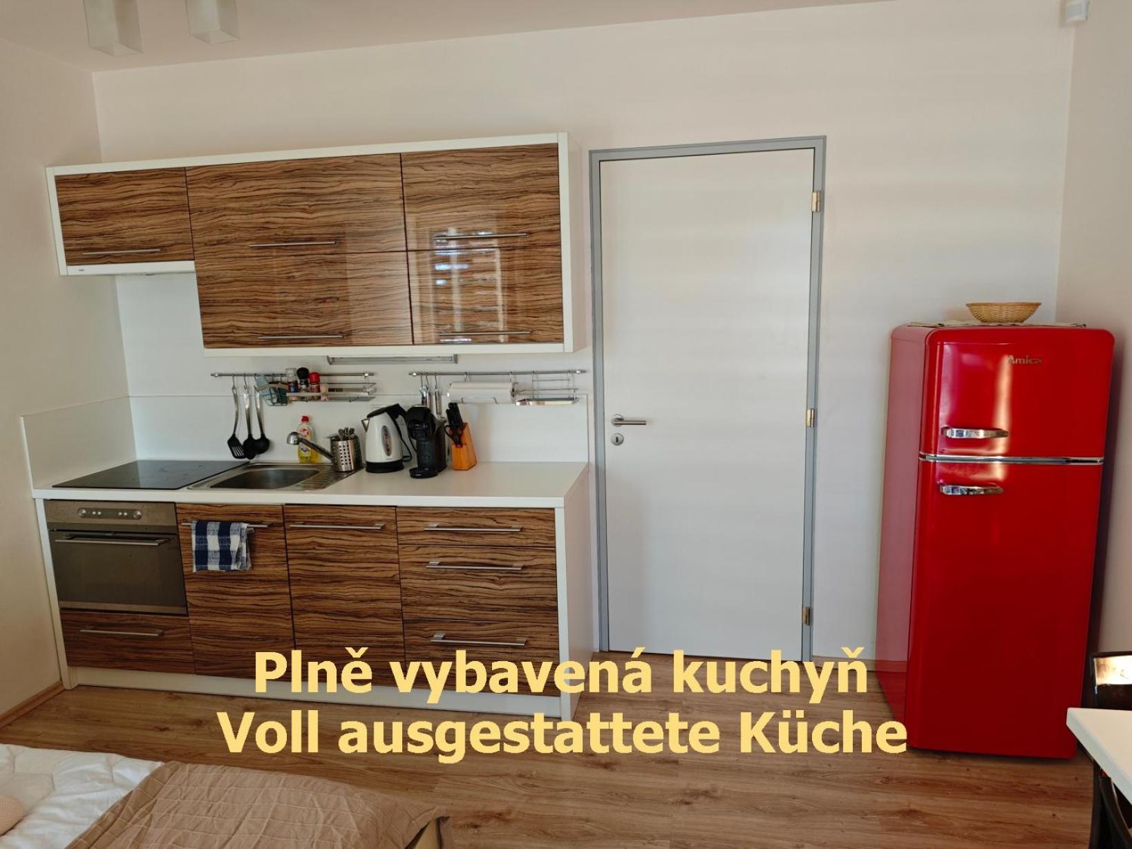 Apartman Sova - Klinovec Loučná pod Klínovcem Εξωτερικό φωτογραφία
